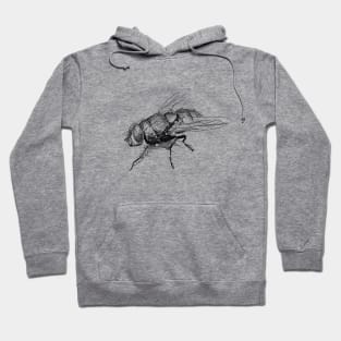 Botfly Ink Drawing Hoodie